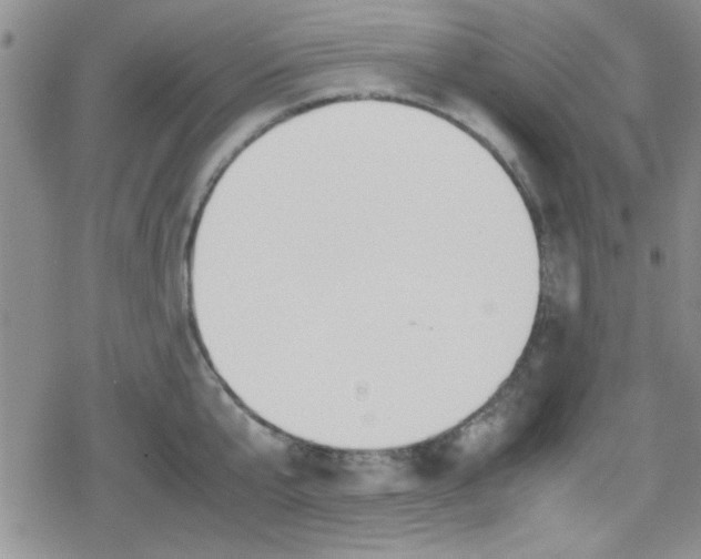 X0000079340807200612082023