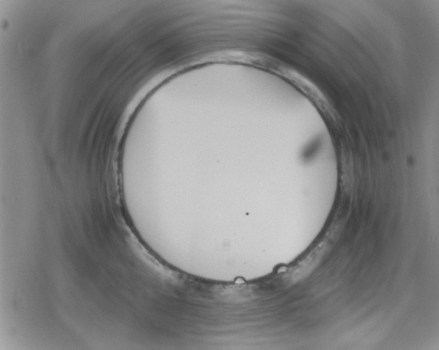 X0000079340808200612082023