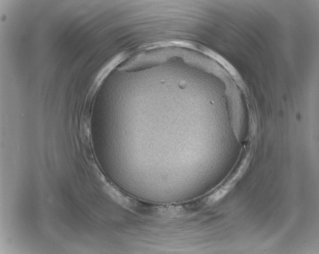 X0000079340809200612082023