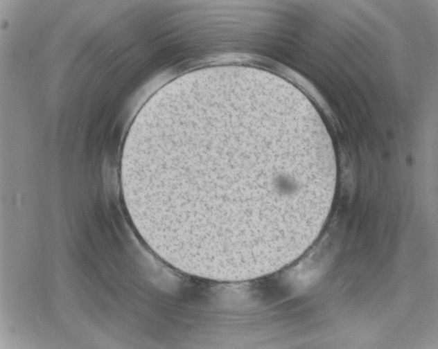 X0000079340810200612082023