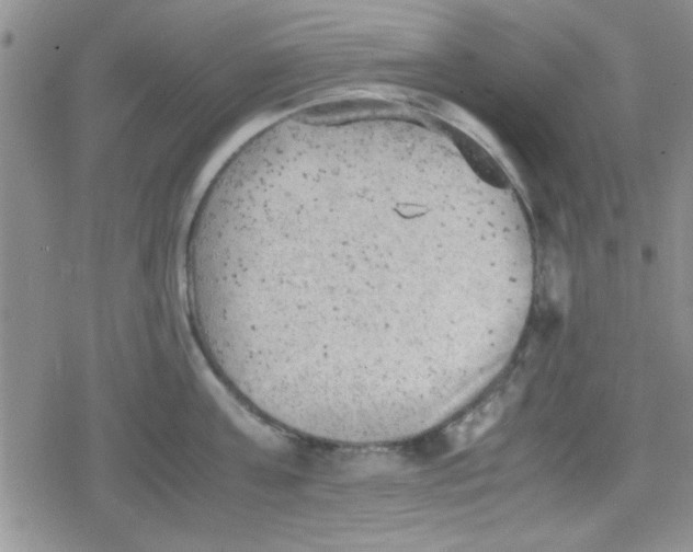 X0000079340811200612082023