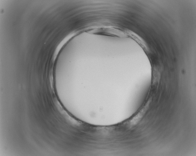 X0000079340812200612082023