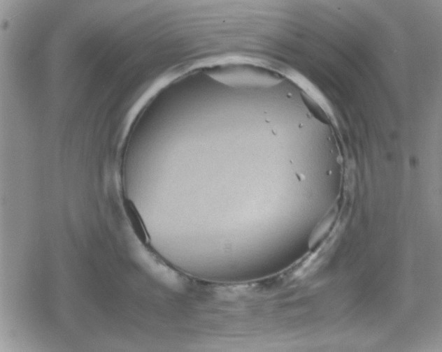 X0000079340813200612082023