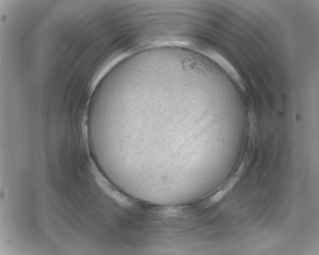 X0000079340814200612082023