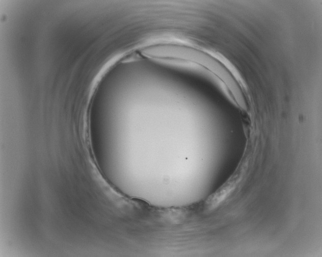 X0000079340815200612082023