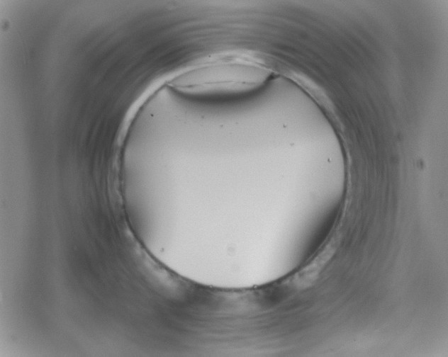 X0000079340816200612082023