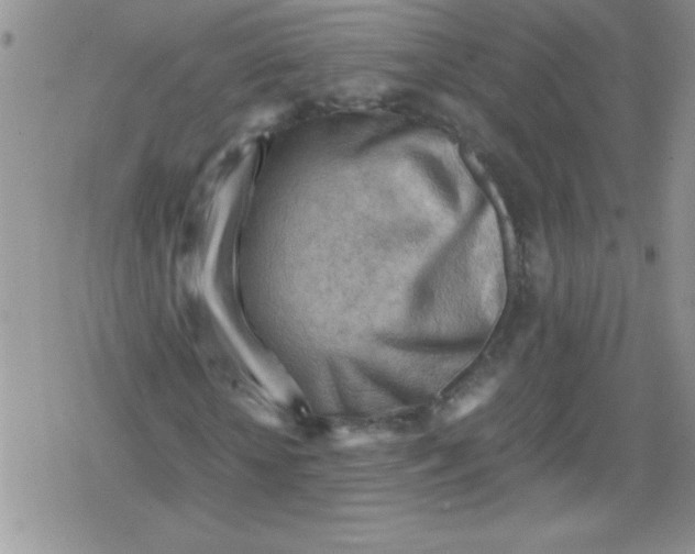 X0000079340818200612082022