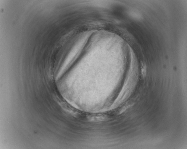 X0000079340819200612082022