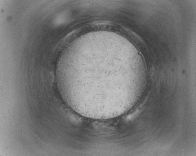 X0000079340821200612082022