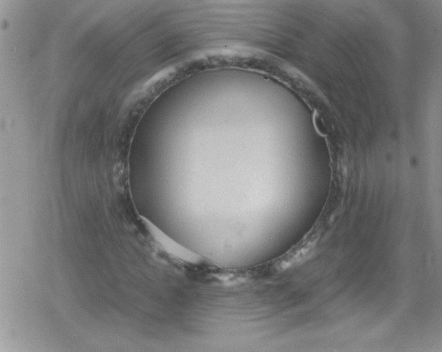 X0000079340822200612082022