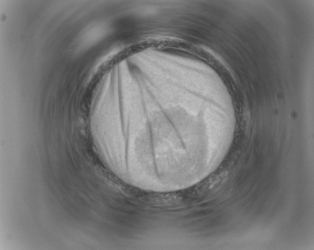 X0000079340823200612082022