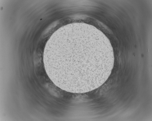 X0000079340824200612082022