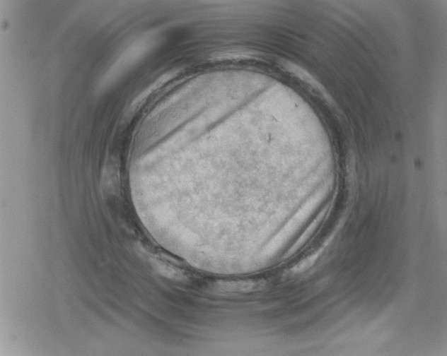 X0000079340825200612082022