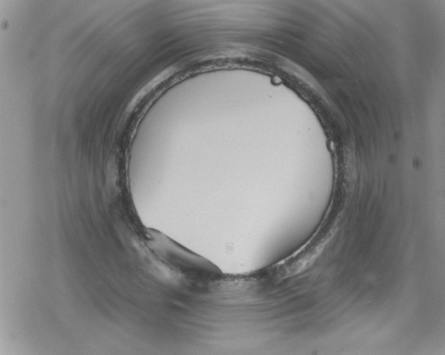 X0000079340826200612082022