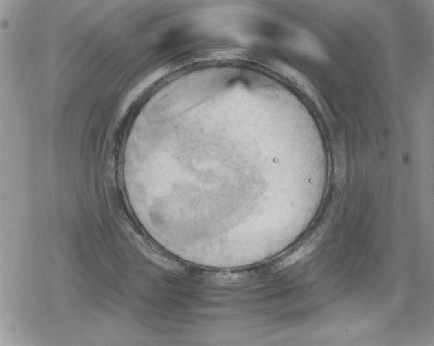 X0000079340827200612082022