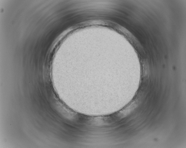 X0000079340828200612082022