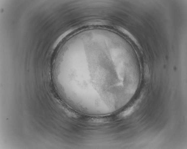 X0000079340829200612082022