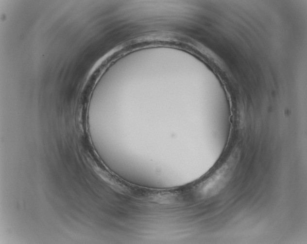 X0000079340830200612082022