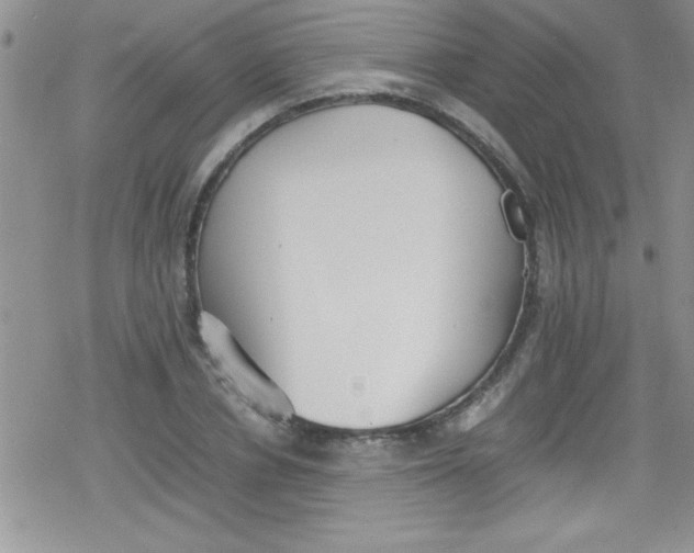 X0000079340834200612082022