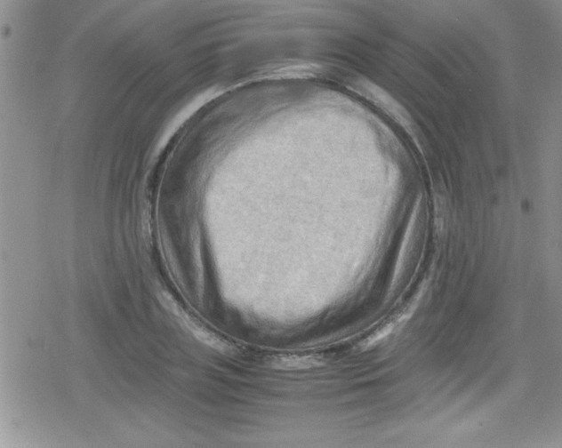 X0000079340835200612082022