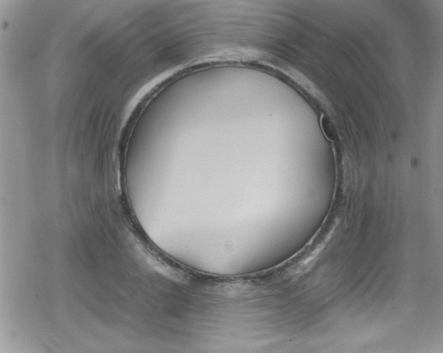 X0000079340838200612082022