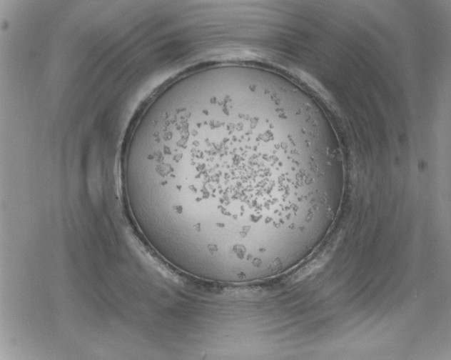 X0000079340840200612082022