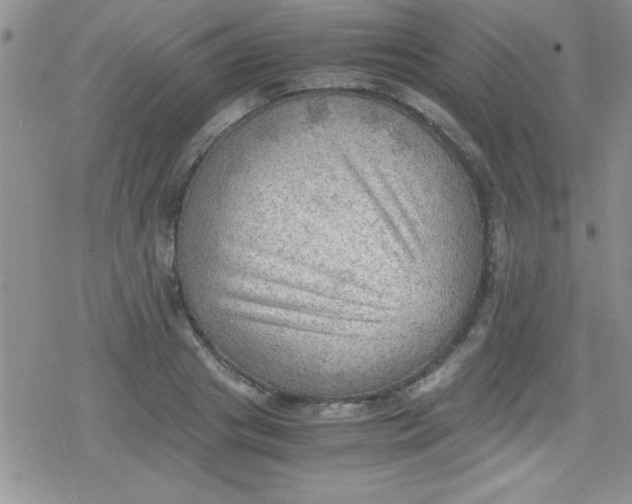 X0000079340841200612082022