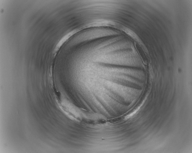 X0000079340842200612082022