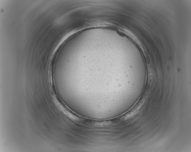 X0000079340843200612082022