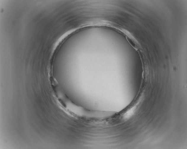 X0000079340846200612082022