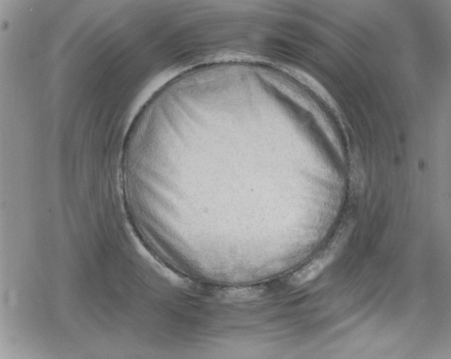 X0000079340847200612082022