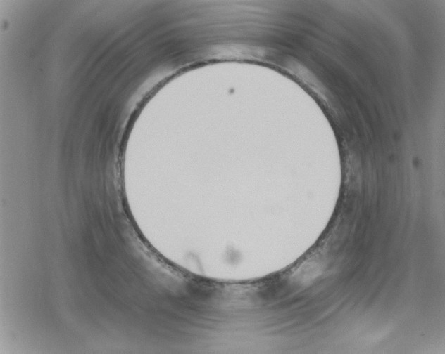 X0000079340848200612082022