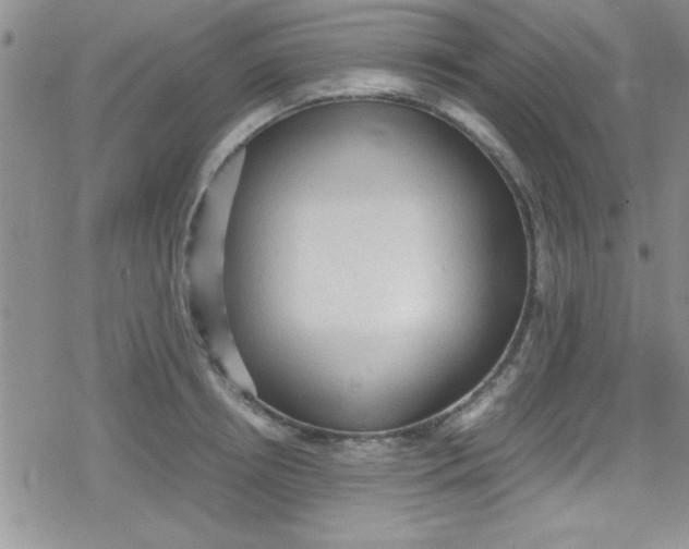 X0000079340850200612082022