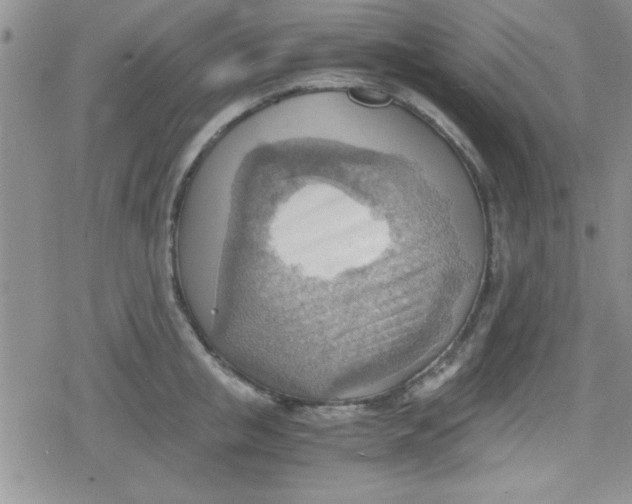 X0000079340853200612082022