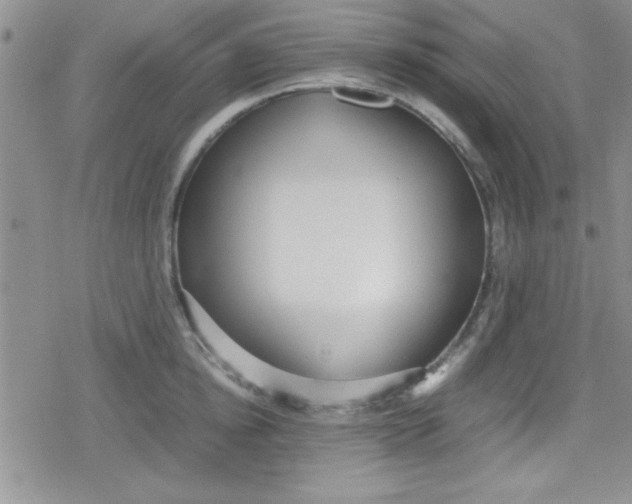 X0000079340854200612082022