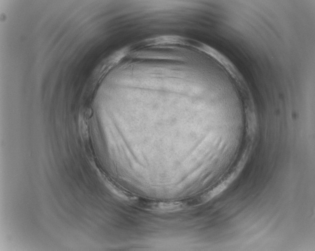 X0000079340857200612082022