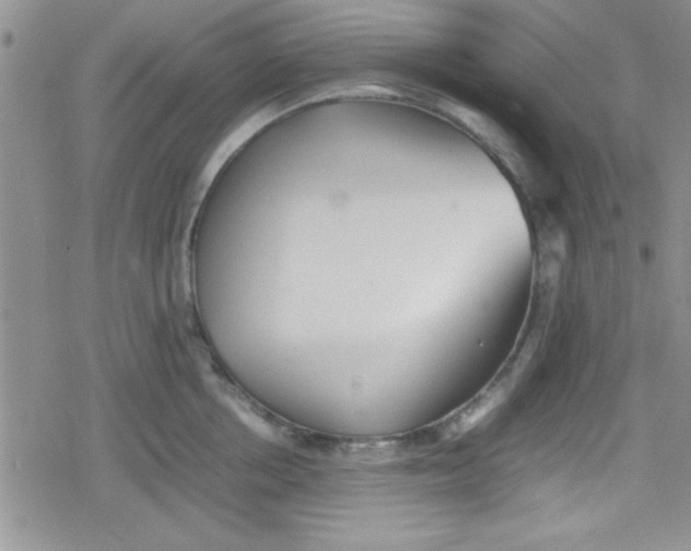 X0000079340858200612082022