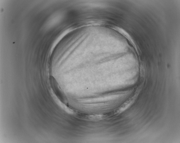 X0000079340859200612082022