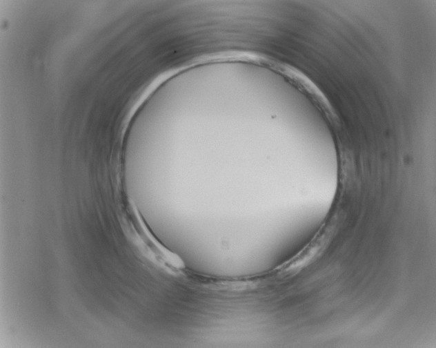 X0000079340860200612082022