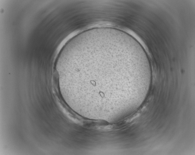 X0000079340861200612082022