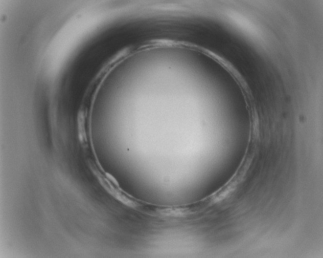 X0000079340862200612082022