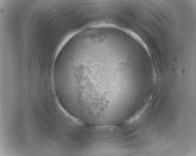 X0000079340863200612082023