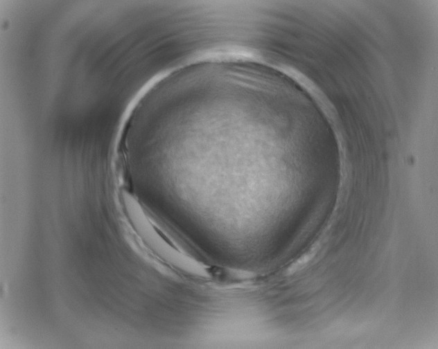 X0000079340864200612082023