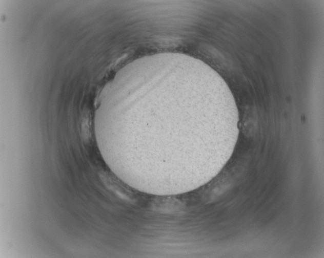 X0000079340866200612082022