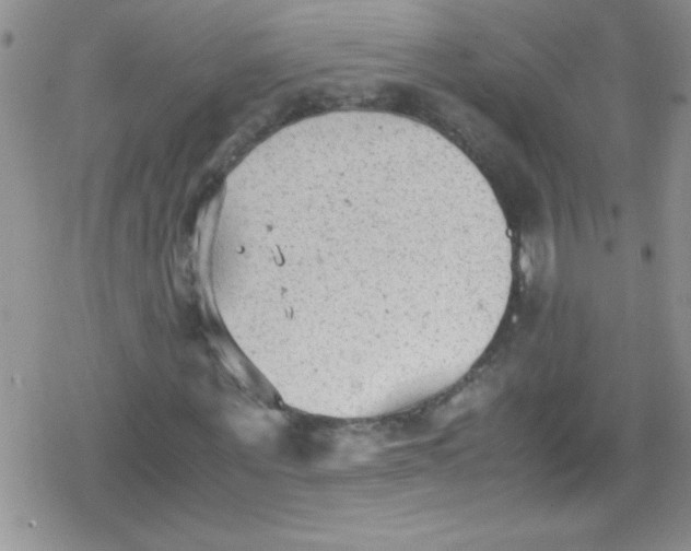 X0000079340867200612082022