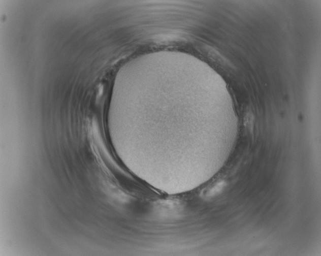 X0000079340868200612082022