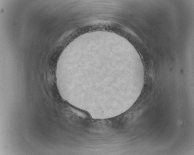 X0000079340869200612082022