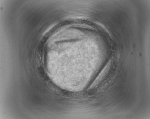 X0000079340871200612082022