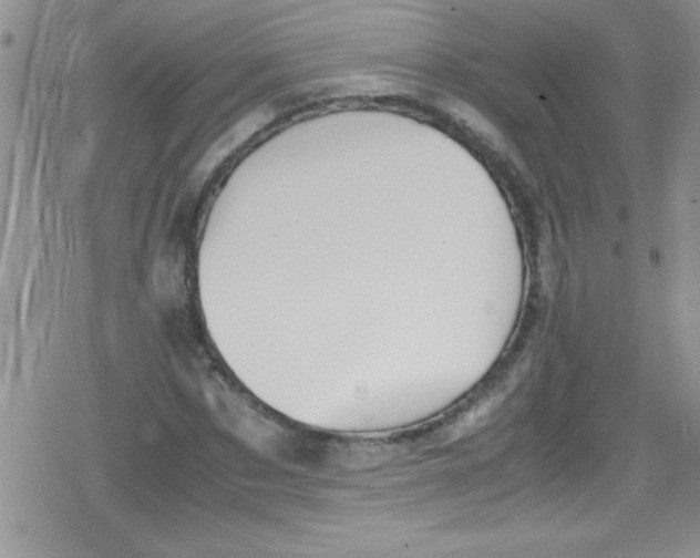 X0000079340873200612082022