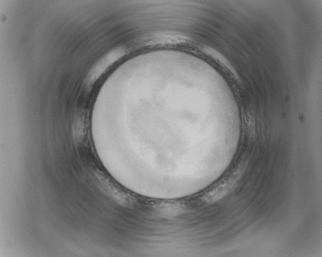 X0000079340874200612082022